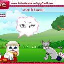  ,  -  1  2010   PetLove