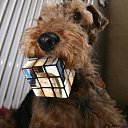 ���� Nik@, ������, 86 ��� - ��������� 27 ������ 2009 � ������ �������