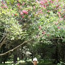   (), , 39  -  28  2010    2010