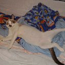 ���� �����, ��� - ��������� 11 ������� 2010 � ������ ���� ������ )�