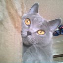 ���� ������ �������� ����������, �� 25.09., ���������� �����, 58 ��� - ��������� 27 ������� 2012 � ������ ���������� ������