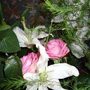 ���� ������, ������, 69 ��� - ��������� 25 ������� 2012 � ������ �������