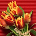 ���� ~Ann&ramosh~, ���������� - ��������� 29 �������� 2009 � ������ ������!!!)�