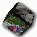 ���� �������, ��������� - ��������� 1 ������ 2012 � ������ ���� ����������