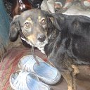 ���� ������, ���������, 35 ��� - ��������� 19 ���� 2011