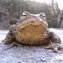 ���� Ը��� ������, ������, 53 ���� - ��������� 1 ������� 2010 � ������ ���� ����� ���������.�