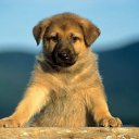  , , 69  -  13  2010   -