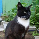 ���� ��������, ������ - ��������� 11 �������� 2011 � ������ �����ջ