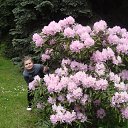 ���� �����, �������������, 25 ��� - ��������� 28 ���� 2013 � ������ ������.�