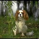 ���� &bull;&deg;&bull;&bull;���&bull;&deg;&bull;&bull;, �������, 24 ���� - ��������� 29 ���� 2012 � ������ ��������