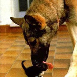 ���� ����, ������ �������� - ��������� 30 ������� 2011