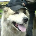 ���� �����, �������, 42 ���� - ��������� 20 ��� 2011 � ������ ���������