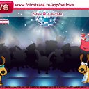   , , 26  -  28  2010   PetLove