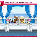  , , 49  -  8  2010   PetLove