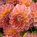 ���� ����� - ���������� ��������!!!, �����������, 56 ��� - ��������� 11 ������ 2010 � ������ ����������