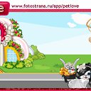 ���� ����, ��������, 23 ���� - ��������� 16 ���� 2011