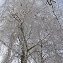 ���� �����, ��������, 33 ���� - ��������� 1 ������� 2009 � ������ ��������� � ��� ��, ��� � ������