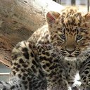 ���� �������, ����� - ��������� 3 ��� 2012 � ������ ���� ����������