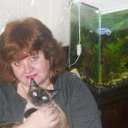 ���� �����, �����-���������, 52 ���� - ��������� 13 ���� 2012