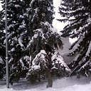 ���� ������, ����������� - ��������� 23 ������ 2013 � ������ ���� ����������