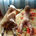 ���� �������, ����� - ��������� 5 ������� 2012 � ������ ���������Ȼ