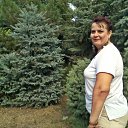 ���� ����, ������, 57 ��� - ��������� 8 �������� 2012 � ������ ���� ����������