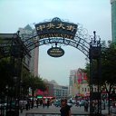 ����� �� ������� ������� ������ 2009�