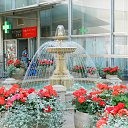 ���� ������, �����, 41 ��� - ��������� 25 ������� 2012