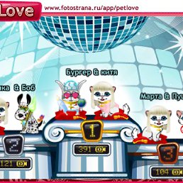 ���� Soft, ������, 41 ��� - ��������� 20 ������� 2010
