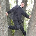  , , 50  -  19  2009    ߻