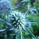  , -, 40  -  16  2011     