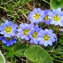 ���� Kira, ������, 65 ��� - ��������� 2 ������ 2010 � ������ �������