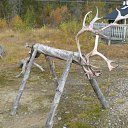  , , 63  -  9  2009      - Suomi