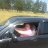 ���� ��������, �����-��������, 40 ��� - ��������� 7 ���� 2013