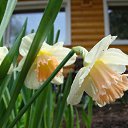 ���� ������, ������, 63 ���� - ��������� 5 ������� 2011 � ������ ������-���� �����....�