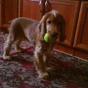 ���� ����, �����������, 61 ��� - ��������� 19 ������� 2011 � ������ ��� � ��������