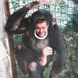 ������ �����, �����������, 46 ���