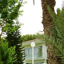  Natalia, , 63  -  19  2012    