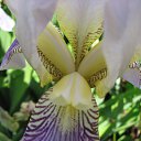 ���� �����, ��������, 45 ��� - ��������� 3 ������� 2010 � ������ ����� �������