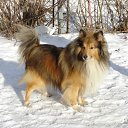 ���� ����, ������, 58 ��� - ��������� 17 ������� 2012 � ������ ���� ����������