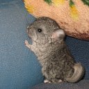 ���� �����, ������ - ��������� 23 ���� 2013 � ������ ���� ����������