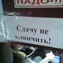 ���� ����, �����������, 38 ��� - ��������� 6 ���� 2010 � ������ �����������