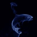  ,  -  13  2010   ____