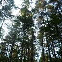 ���� ������, �����, 59 ��� - ��������� 4 ���� 2012 � ������ �������� �����