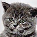 ���� ��������, ���� - ��������� 30 ������� 2012 � ������ ���� ����������