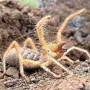 ���� �����, ������ �����, 57 ��� - ��������� 10 ��� 2012 � ������ �������