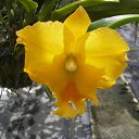 ���� ������, ����������, 55 ��� - ��������� 7 ���� 2011 � ������ �������