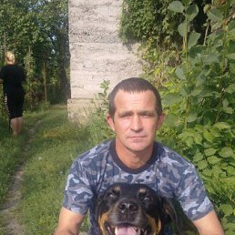 ���� ���������, ���������, 56 ��� - ��������� 31 ������� 2011