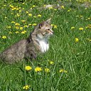 ���� �������, ���������, 51 ��� - ��������� 28 ����� 2010 � ������ ��������