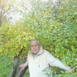 �������, �����, 71 ���